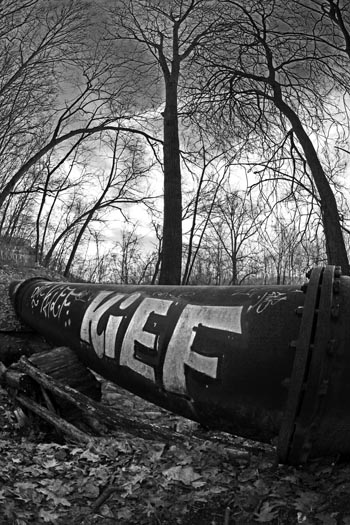 the arboretum in ann arbor at the university of michigan